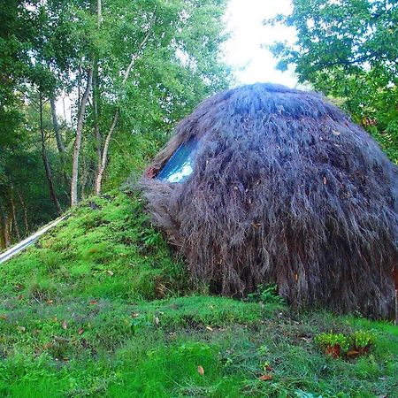 Hotel Le Cul De Loup Vouzon Zewnętrze zdjęcie