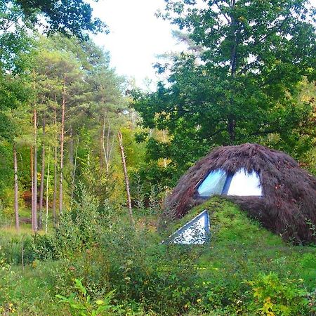 Hotel Le Cul De Loup Vouzon Zewnętrze zdjęcie