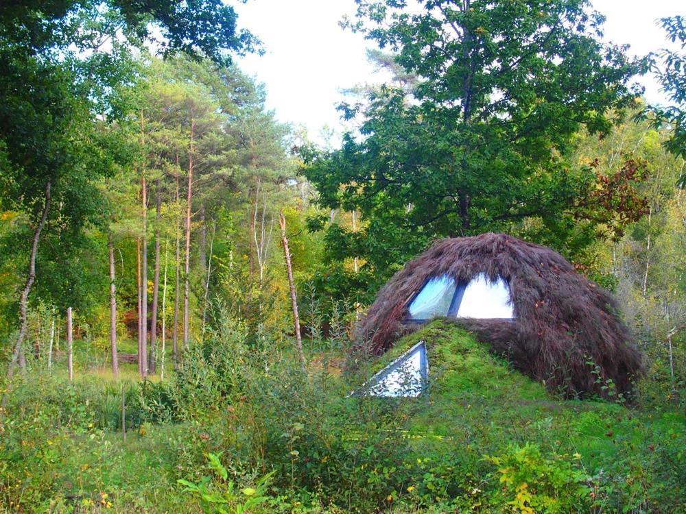 Hotel Le Cul De Loup Vouzon Zewnętrze zdjęcie